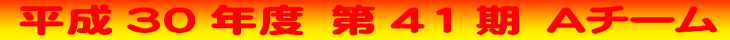 ����30�N�x�@��41���@A�`�[�� 